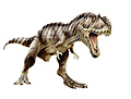 Giganotosaurus - der größte bisher gefundene Fleischfresser. Sein Kopf war rund zwei Meter lang.