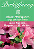 Rhododendrenbl�te