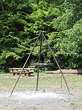 Schwenkgrill