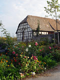 Dreiseitengeh&ouml;ft Ludwigsaue