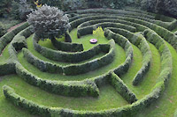 Irrgarten