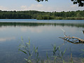Mönchwaldsee