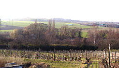 Ausblick von der Flörsheimer Warte