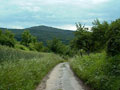 Panorama Odenwald