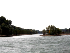 Naturschutzgebiet Khkopf-Knoblochsaue