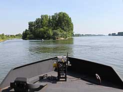 Blick ber den Bug zum Altrhein (l.) und  dem Rhein
