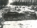 Waldweg-Sperre, Zufahrt zum Httendorf