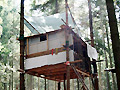 Baumhaus