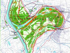 Der Rheindurchstich mit dem Naturschutzgebiet Kühkopf-Knoblochsaue
