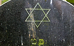 Davidstern (Schild Davids)