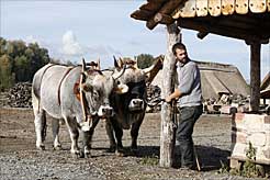 David und Darius mit dem Leiter von Lauresham, Claus Kopp (Foto: Welterbe Areal Kloster Lorsch) 