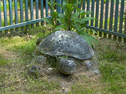 Steinerne Schildkröte im Garten des Prinzessinnenhauses