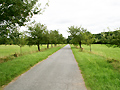 Apfelallee