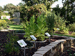 Beet mit Informationstafeln