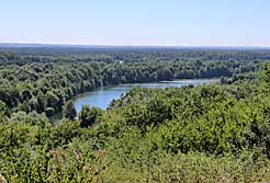 Gelnde Oberwaldberg mit dem Oberwald- und Schnepfensee