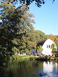 Teich