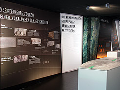 Versteinerte Zeugen