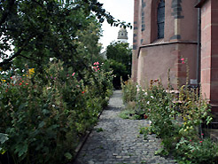 Blick in den Garten. Im Hintergrund das Hchster Schloss