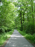 Naturschutzgebiet Khkopf-Knoblochsaue