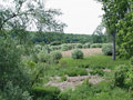Unterschiedliche Landschaften