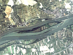 Mariannenaue, die größte Insel im Rhein