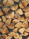 Holz