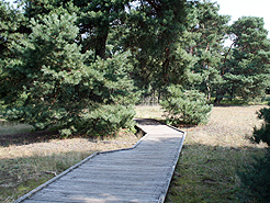 Bohlenweg