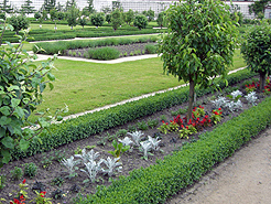 Ziergarten
