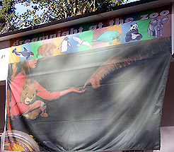 Dreamnight at the zoo