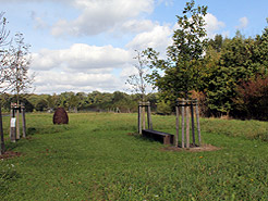 Walnussquaertier