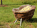 Walnusssitz
