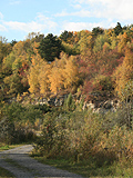 Herbst