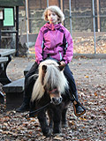 Ponyreiten