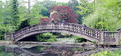 Park Schloss Wolfsgarten