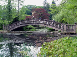 Schlosspark Wolfsgarten