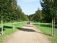 Mitteldicker Allee