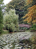 Teich mit Seerosen